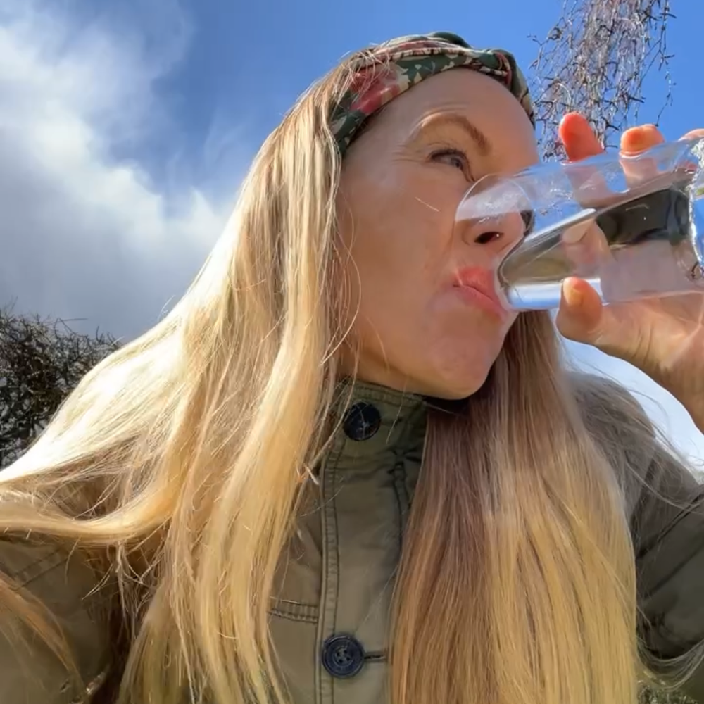 Drik birkesaft fra dit eget træ