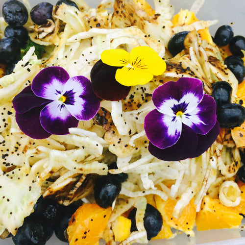 Annas fennikelsalat