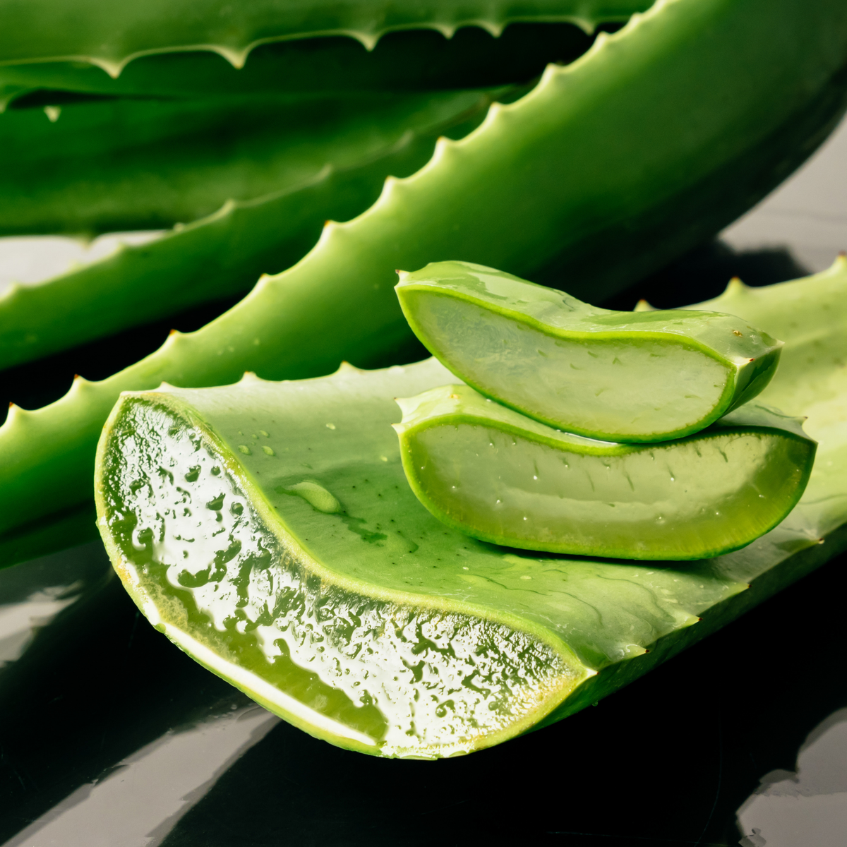 Frisk opskåret aloe vera plante til kosttilskud