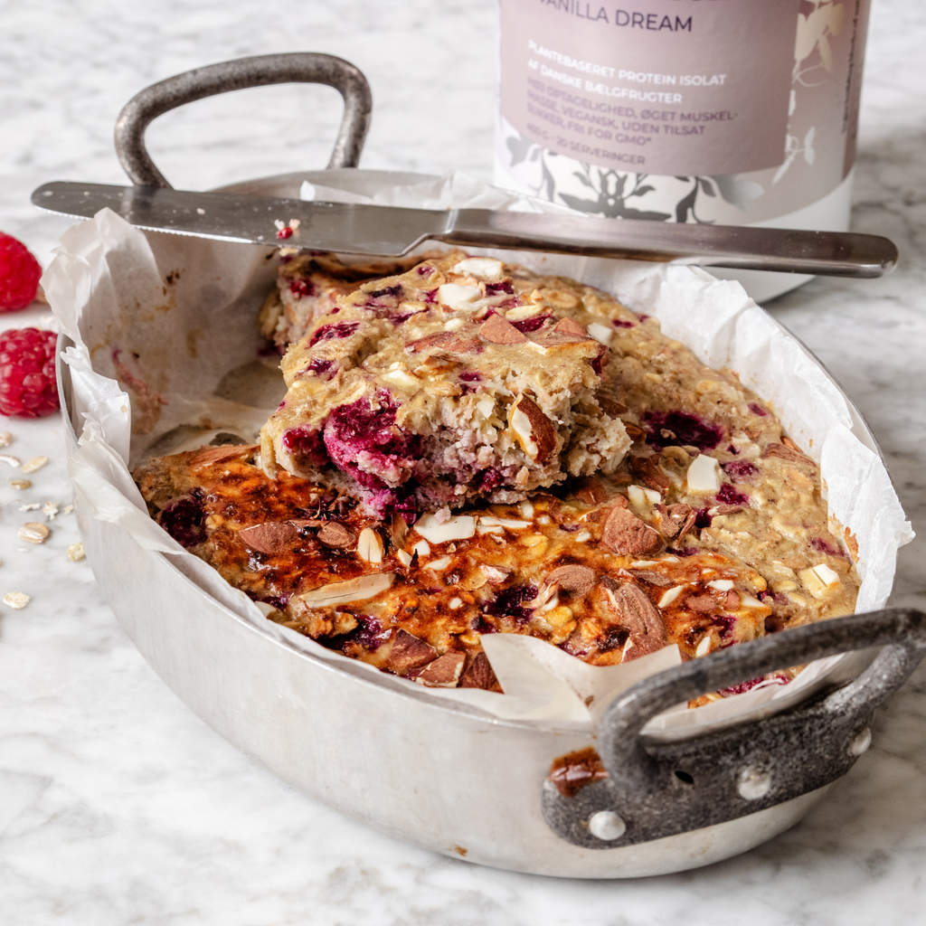 Nordic Berry + Vanilla Dream Fava Protein