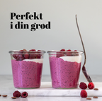 Chocolate Lover + Nordic Berry Fava Protein