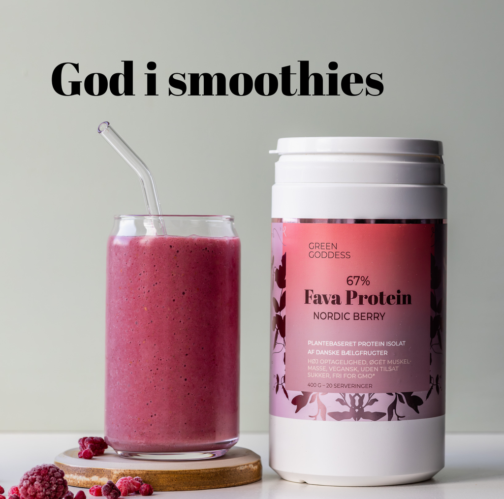 Nordic Berry + Vanilla Dream Fava Protein