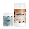 Creatine Femme + Chocolate Lover Fava Protein