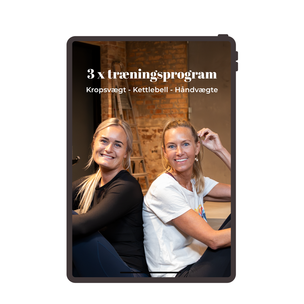 3 x træningsprogram
