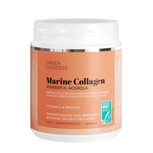 Marine Collagen Pulver – Powerful Acerola (250 g). C-vitamin bidrager til immunsystemets normale funktion og reducerer træthed