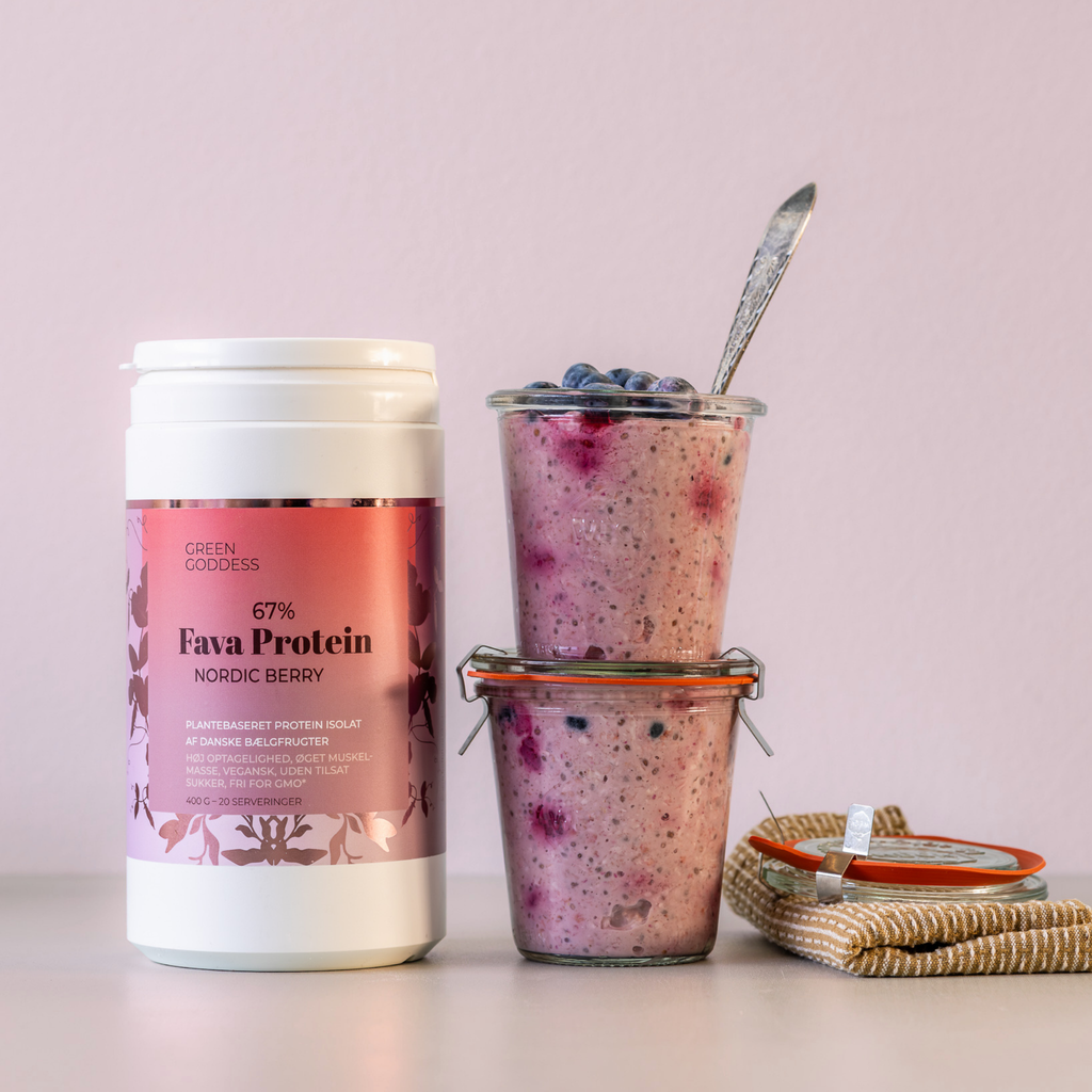Chocolate Lover + Vanilla Dream + Nordic Berry Fava Protein