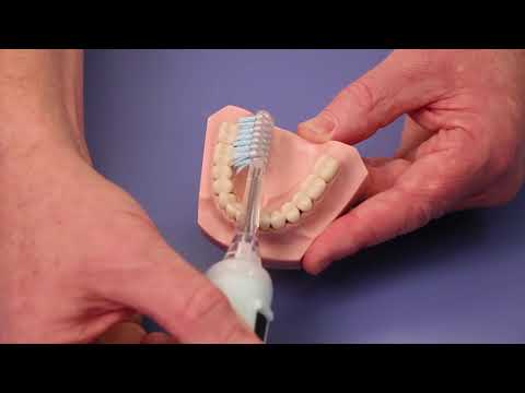 Børstehoved Standard til ION-Sei Sonisk Elektrisk Tandbørste