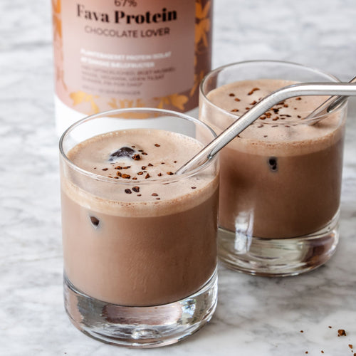 Chocolate Lover + Nordic Berry Fava Protein