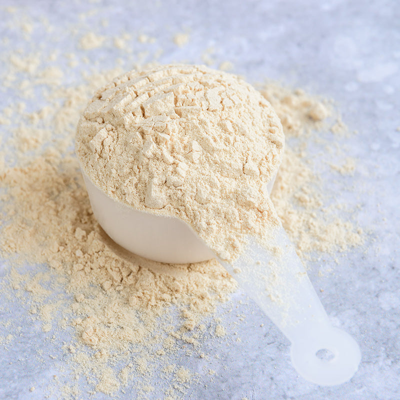 RawNice Vanilla Protein Powder, 500 gram
