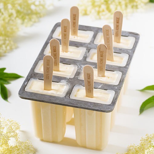 N'ice Cream Pop Maker